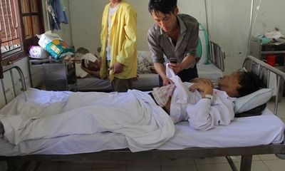 Nghệ An: Ăn trúng nấm độc, 3 người tử vong