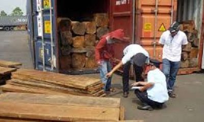 Khởi tố vụ buôn lậu gỗ lớn nhất Bình Phước