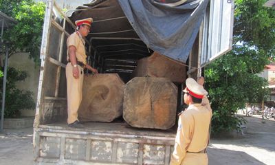 Quảng Bình: Phát hiện xe ô tô tải chở gỗ không rõ nguồn gốc