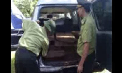 Video: 25 phách gỗ đinh hương lậu trên xe của một vị sếp