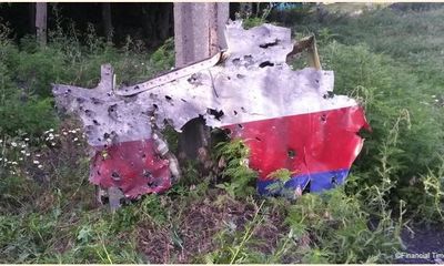 MH17: Bằng chứng cho thấy máy bay Malaysia trúng tên lửa 