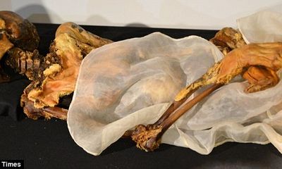 Hình xăm và những điều bí ẩn về xác ướp 2.500 tuổi tại Nga
