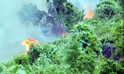 Liên tiếp xảy ra 2 vụ cháy lớn tại rừng đặc dụng Nam Hải Vân