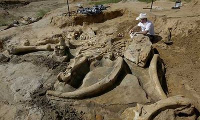 Phát hiện bộ xương khổng lồ của sinh vật thời kỷ băng hà