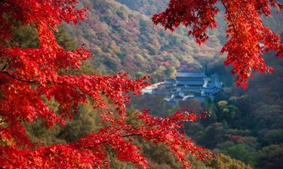 Du lịch mùa thu Hàn Quốc có gì hấp dẫn?