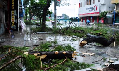 Quảng Ninh thiệt hại khoảng 20 tỷ đồng do bão số 3