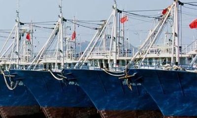 Trung Quốc tính đưa tàu chở cá cỡ lớn ra Trường Sa