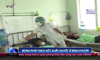 Bùng phát dịch sốt xuất huyết ở Bình Phước