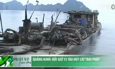 Clip: Bắt giữ 15 tàu hút cát trái phép tại Quảng Ninh