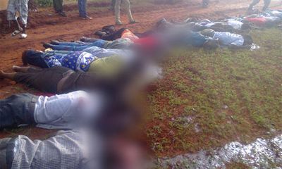 Phiến quân Hồi giáo Shebab hành quyết tàn bạo 28 người ở Kenya