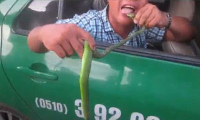 Video: Kỳ lạ người đàn ông mang rắn lục đuôi đỏ lên taxi đi mất