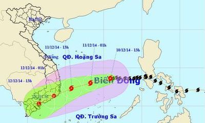 Tin bão số 5 khẩn cấp: Bão giật cấp 12 đổ bộ vào Nam Trung Bộ