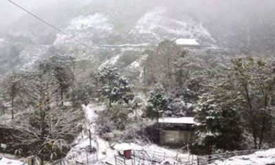 Tuyết rơi ở Lũng Cú Hà Giang chỉ là tin đồn