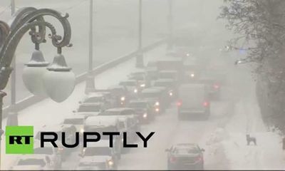 Giao thông thủ đô Moscow tê liệt vì bão tuyết mạnh bất thường