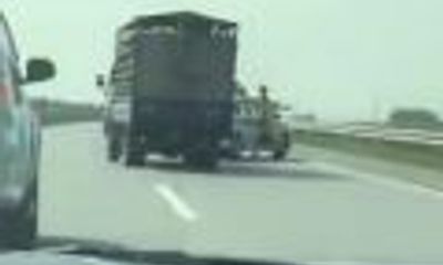 Cảnh sát giao thông rượt đuổi xe chở lợn trên cao tốc như trong phim hành động