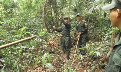 Lực lượng bảo vệ rừng sẽ được trang bị súng, mũ chống đạn