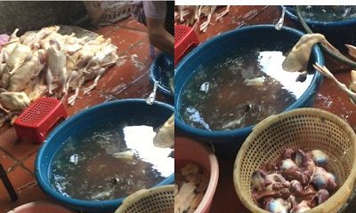 Hà Nội: Rùng mình cảnh giết mổ gia cầm trộn nước thải tại chợ Gia Quất