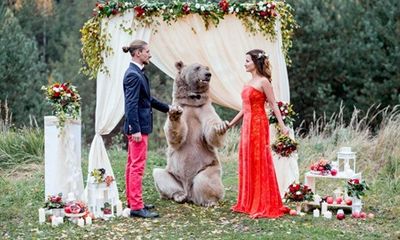 Cặp đôi nhờ gấu làm chứng trong hôn lễ