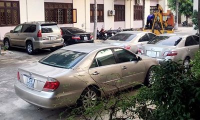 Bình Định bán đấu giá 8 ô tô bị tịch thu để sung công quỹ