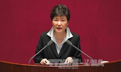 Phản ứng về bài phát biểu của Tổng thống Park Geun-hye