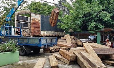 Tạm giữ xe tải chở hơn 20m3 gỗ ghi sai với hồ sơ gốc