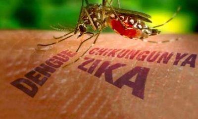 TP. HCM: 2 bà bầu nhiễm vi rút Zika đã chấm dứt thai kỳ