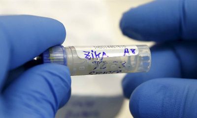 Người nghi nhiễm vi rút Zika được xét nghiệm miễn phí