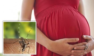 Đồng Nai: Phát hiện trường hợp nhiễm vi rút Zika đầu tiên là thai phụ