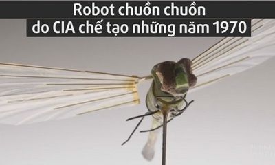 Robot chuồn chuồn do thám độc đáo của CIA