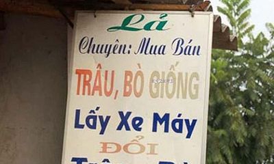 Bật cười với những tấm biển quảng cáo “Made in Việt Nam”