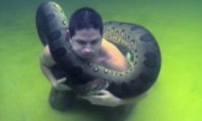 Trăn anaconda khổng lồ quấn quanh cổ người đàn ông dưới nước