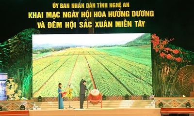 Tưng bừng Ngày hội hoa hướng dương và Đêm hội sắc xuân miền Tây ở Nghệ An