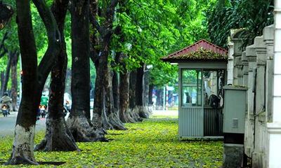 Top 5 địa điểm chụp ảnh mùa thu ở Hà Nội đẹp đến nao lòng