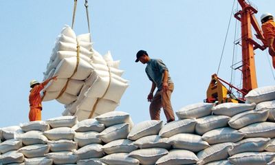 Tiếp tục “tìm cơ hội” cho hạt gạo Việt Nam