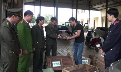 Bàn giao 14 cá thể tê tê và rùa cho Trung tâm cứu hộ vườn Quốc gia Cúc Phương