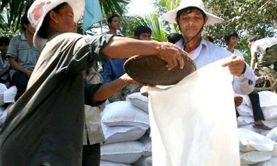 Thủ tướng Chính phủ chỉ đạo hỗ trợ hơn 10.000 tấn gạo cho 12 tỉnh