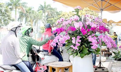 Hoa kiểng, trái cây chơi Tết “độc, lạ” ngập tràn ở TP. Hồ Chí Minh
