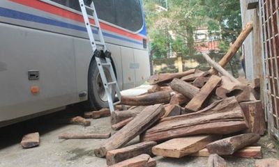 Xe khách biển số Lào giấu hơn 2,5 tấn gỗ trắc ở trên trần