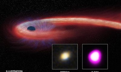 Lỗ đen khổng lồ 'nuốt trọn' một ngôi sao