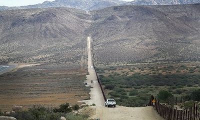 Xây tường biên giới Mexico - Mỹ đe dọa sự tồn vong của loài bướm chúa
