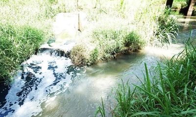 3 tỉnh, thành chậm báo cáo về môi trường sông Thị Vải