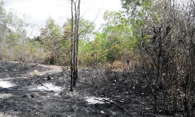 Bắt quả tang 2 đối tượng đang đốt rừng ở Phú Quốc