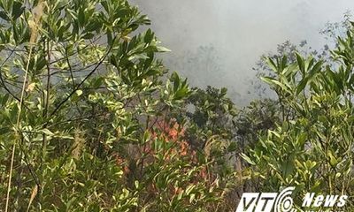 Cháy lớn rừng thông đặc dụng tại chùa Lôi Âm, Quảng Ninh