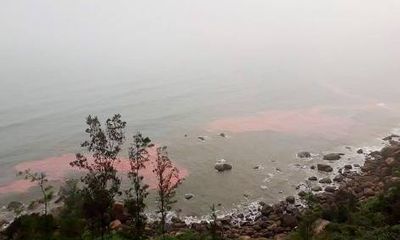 Nguyên nhân xuất hiện dải nước màu đỏ trên biển Lăng Cô