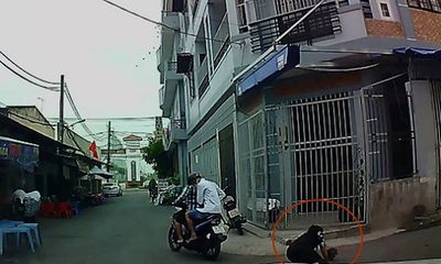 Clip: Bị cướp giật dây chuyền, người phụ nữ ngã nhào xuống đường