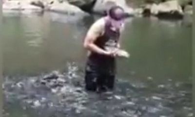 Dân mạng thích thú clip chàng trai chơi đùa với cá như bạn thân