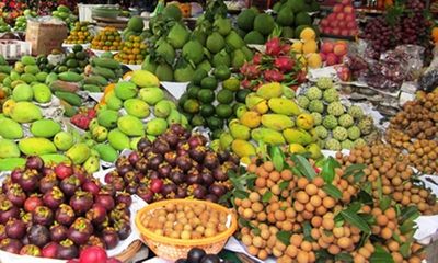 Người Việt chi gần 64 tỷ đồng để nhập hoa quả ngoại mỗi ngày
