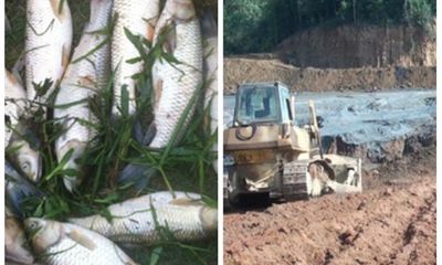 Vỡ đập chứa bùn thải khiến cá chết hàng loạt: Đình chỉ hoạt động xí nghiệp thiếc