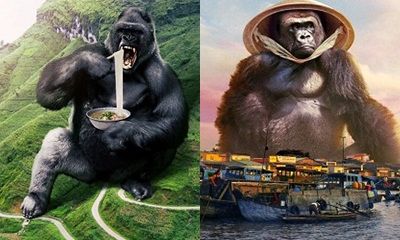 Loạt ảnh chế hài hước khi Kong chuyển 'hộ khẩu' đến Việt Nam gây bão mạng