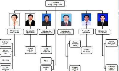 Vụ một sở có 6 phó giám đốc: Phó Chủ tịch tỉnh Bình Định nói gì?